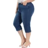 Agnes Orinda Women's Plus Size Jeans Zipper Back Yoke Stretch Roll Up Cuff Denim Pants 1 Agnes Orinda Women's Plus Size Jeans Zipper Back Yoke Stretch Roll Up Cuff Denim Pants -Agnes Orinda GUEST 2fd22208 5f96 412b 82d7 afd7f652ed26