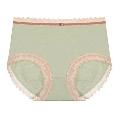 Agnes Orinda Women's Plus Size Lace Trim Cotton Brief Underwear Panties 8 Agnes Orinda Women's Plus Size Lace Trim Cotton Brief Underwear Panties - Image 6