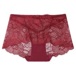 Agnes Orinda Womens Plus Lace Panties High Waisted Brief Underwear 13 Agnes Orinda Womens Plus Lace Panties High Waisted Brief Underwear -Agnes Orinda GUEST 442cb4e0 d2bd 420f 94aa aca4cb048de8