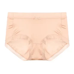 Agnes Orinda Women's High-Rise Brief Seamless Lace Trim Stretchy Cheeky Underwear -Agnes Orinda GUEST 6a77e01b 9aeb 4437 a320 909269ac4019