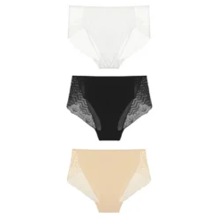 Agnes Orinda Women's 3-Pack Lace Trim Mid-Rise Seamless Brief Stretchy Underwear