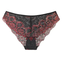 Agnes Orinda Women Plus Seamless Bikini Lace Underwear Briefs Panties Underwear 13 Agnes Orinda Women Plus Seamless Bikini Lace Underwear Briefs Panties Underwear -Agnes Orinda GUEST b0a08a93 9183 4462 9448 941a0bbd65a8