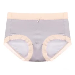 Agnes Orinda Women's High-Rise Brief Seamless Lace Trim Stretchy Cheeky Underwear -Agnes Orinda GUEST b28fe73f 014a 43bb ba8c 0cd98436b835