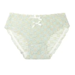 Agnes Orinda Women's Cute Floral Lace Brief Stretchy Cheeky Underwear 16 Agnes Orinda Women's Cute Floral Lace Brief Stretchy Cheeky Underwear -Agnes Orinda GUEST d0b72e34 5057 4c40 bdc0 ba863cb341e0