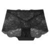 Agnes Orinda Womens Plus Lace Panties High Waisted Brief Underwear