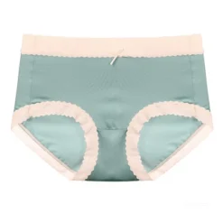 Agnes Orinda Women's High-Rise Brief Seamless Lace Trim Stretchy Cheeky Underwear -Agnes Orinda GUEST f7f82610 8fb6 4908 bea9 7c9578c68303