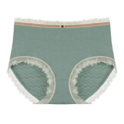 Agnes Orinda Women's Plus Size Lace Trim Cotton Brief Underwear Panties 13 Agnes Orinda Women's Plus Size Lace Trim Cotton Brief Underwear Panties -Agnes Orinda GUEST fe4143df 6b2f 41d3 818b 03d41c973be0